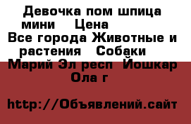 Девочка пом шпица мини  › Цена ­ 30 000 - Все города Животные и растения » Собаки   . Марий Эл респ.,Йошкар-Ола г.